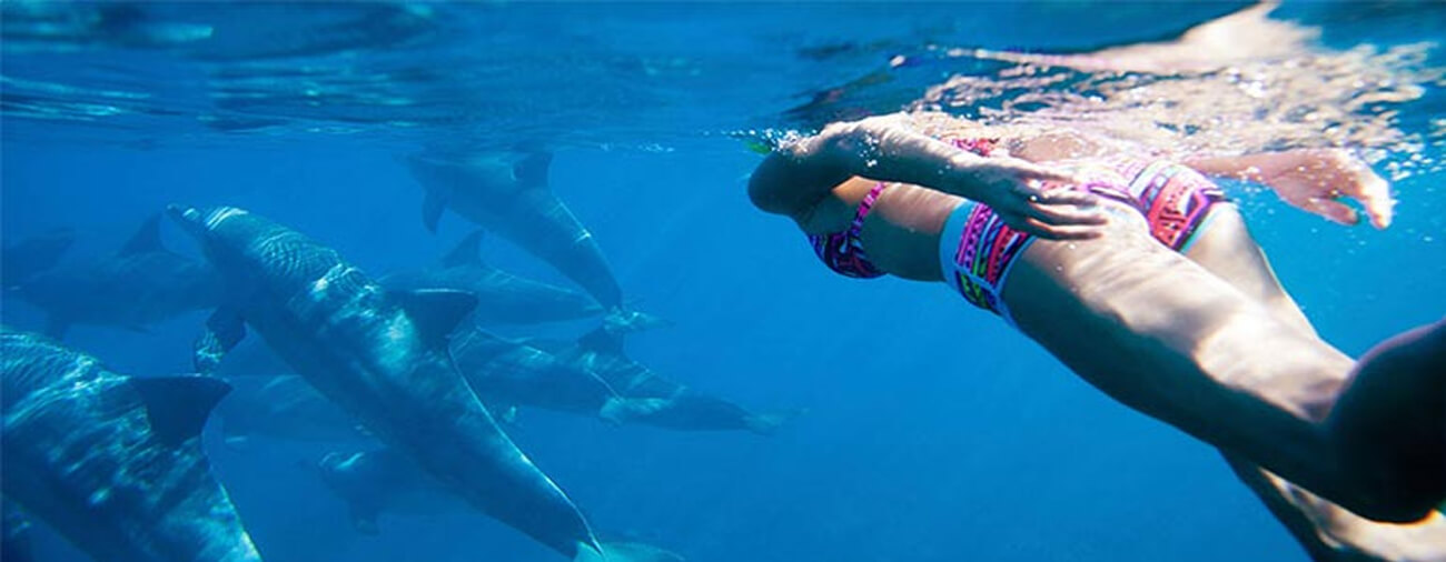 Mauritius Dolphin Swim